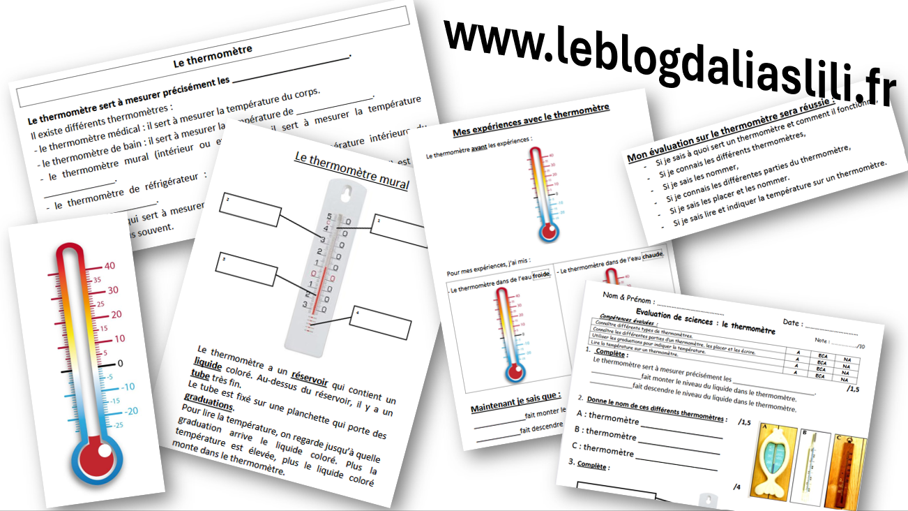présentation article thermomètre ALIASLILI